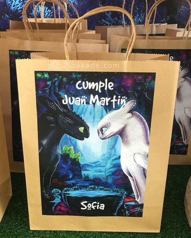 تم تولد مربی اژدها - How to Train Your Dragon